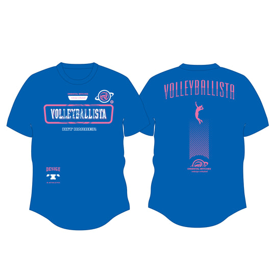 VOLLEYBALLISTA ミディアムブルー（ローズピンク×ホワイト）