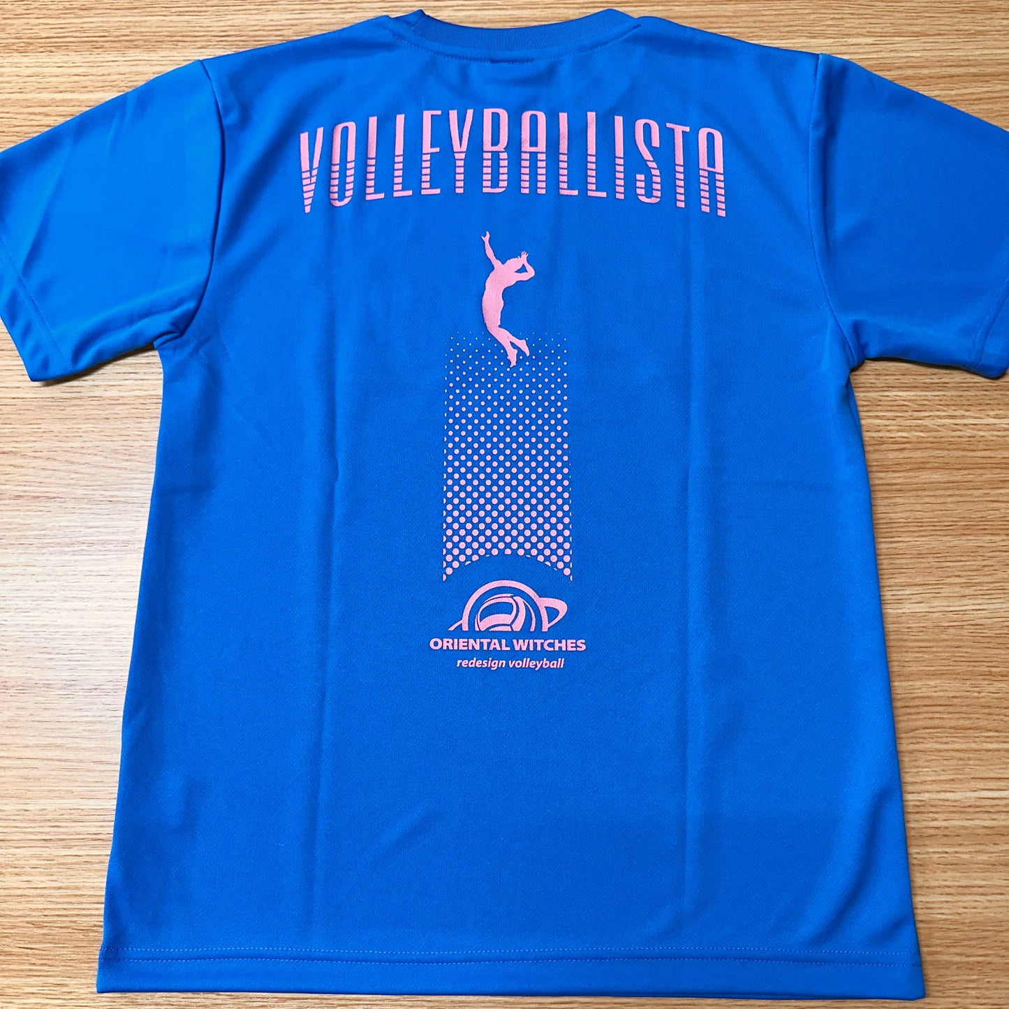 VOLLEYBALLISTA ミディアムブルー（ローズピンク×ホワイト）