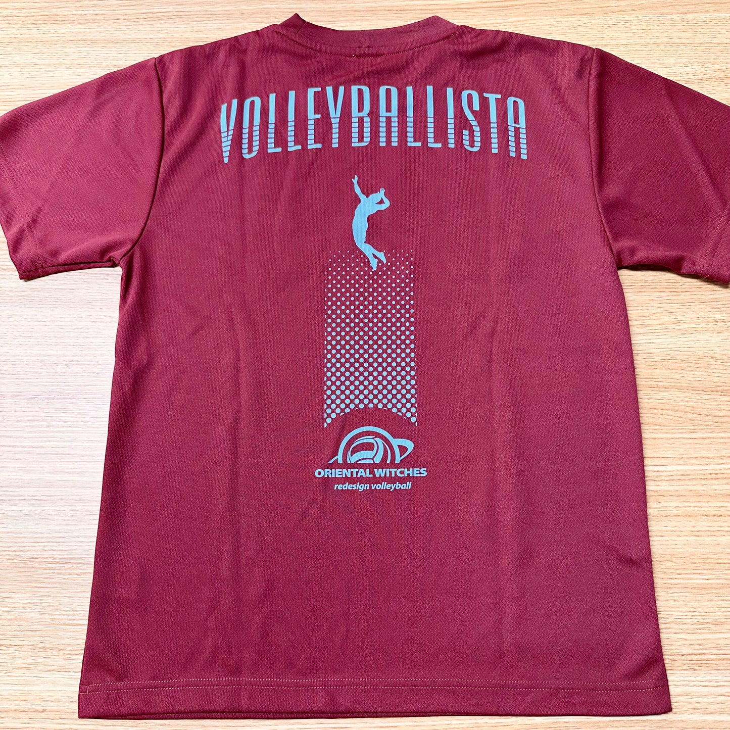 VOLLEYBALLISTA バーガンディ（サックス×ホワイト）