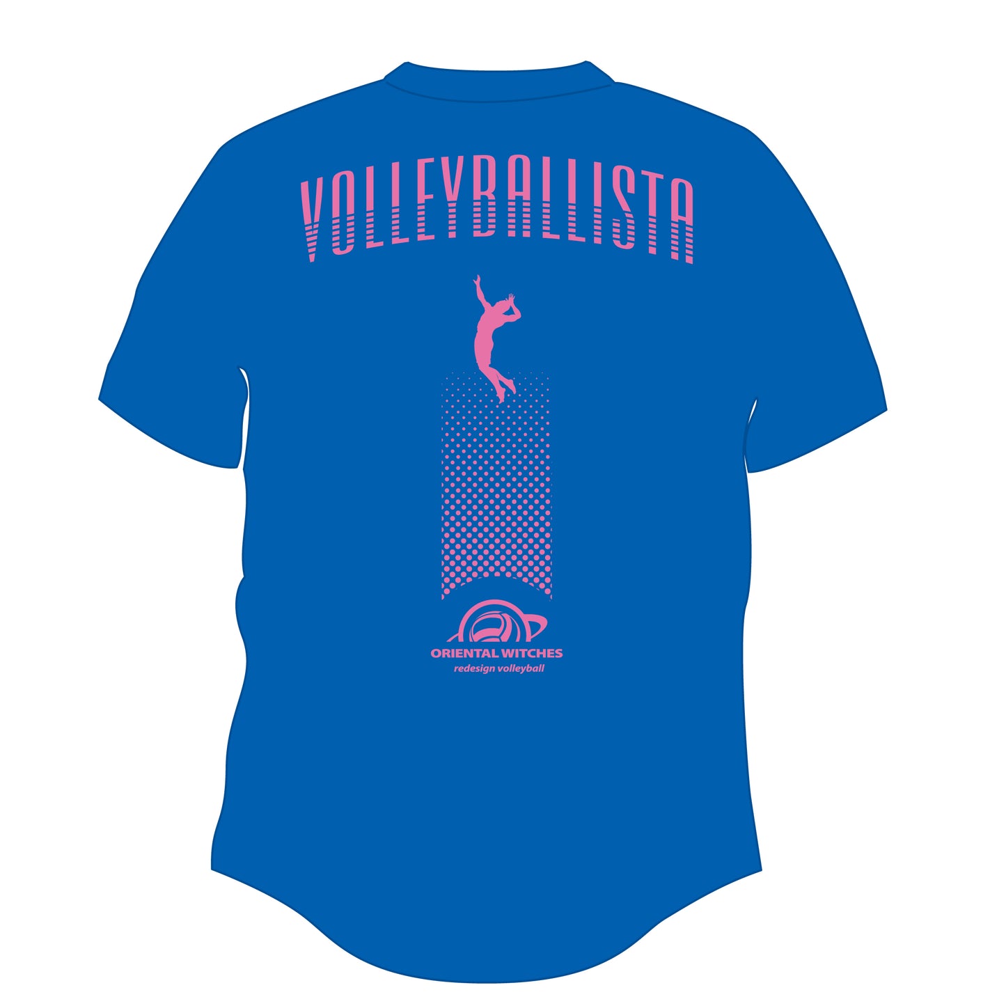 VOLLEYBALLISTA ミディアムブルー（ローズピンク×ホワイト）