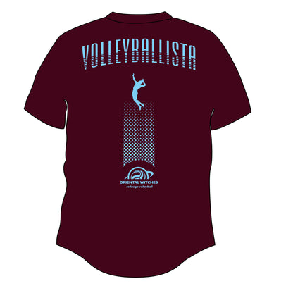 VOLLEYBALLISTA バーガンディ（サックス×ホワイト）
